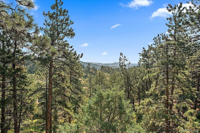 186 Bunny Rd, Bailey, CO 80421 - photo 29