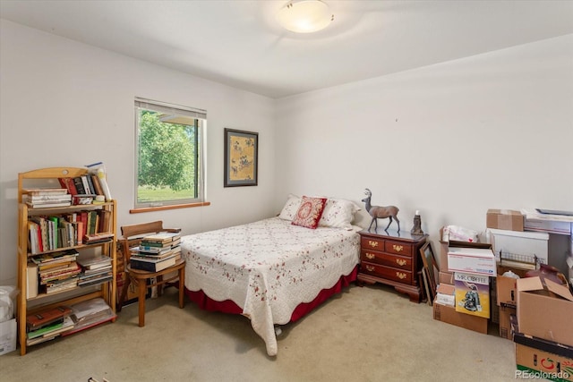7610 Meadowlark Ln, Salida, CO 81201 - photo 34