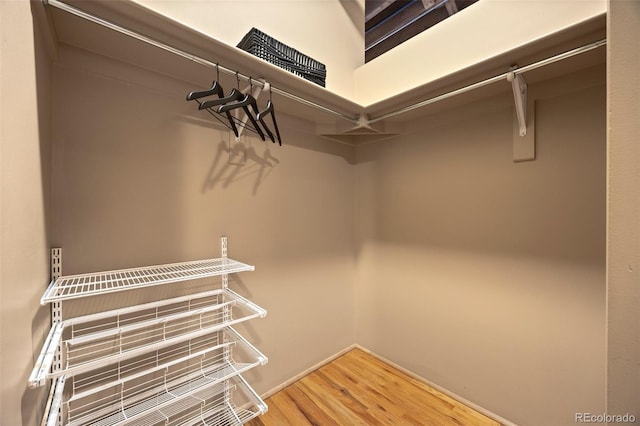 walk in closet featuring wood finished floors