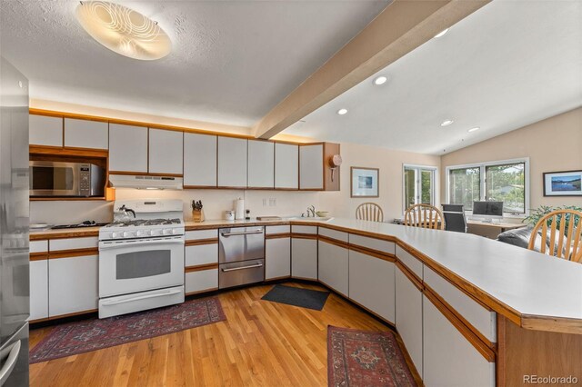 3176 S Alton Ct, Denver, CO 80231 - kitchen with stainless steel appliances, under cabinet range hood, light wood-type flooring, light countertops, and recessed lighting