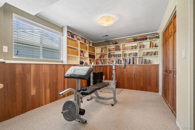 3176 S Alton Ct, Denver, CO 80231 - workout room featuring carpet flooring and wood walls