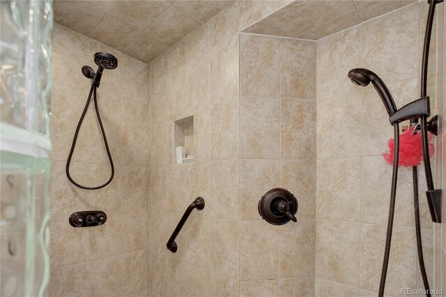 3561 Kalispell St, Aurora, CO 80011 - bathroom view of a tile shower