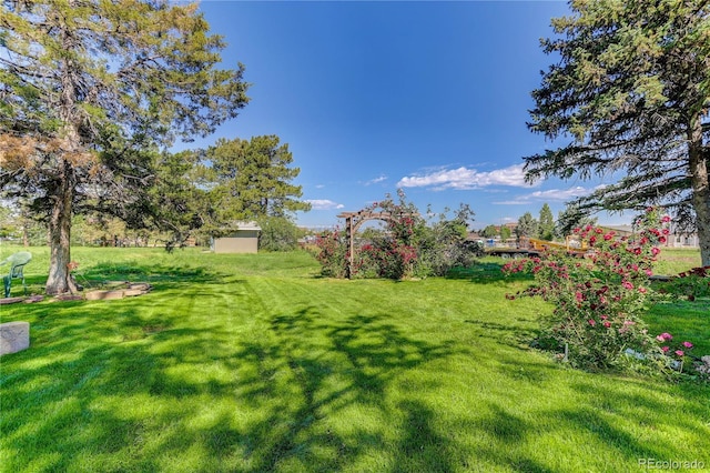 3561 Kalispell St, Aurora, CO 80011 - view of green lawn