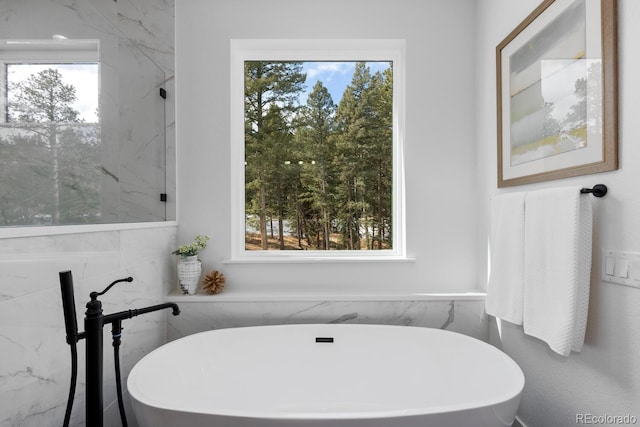 bathroom with a tub and a wealth of natural light