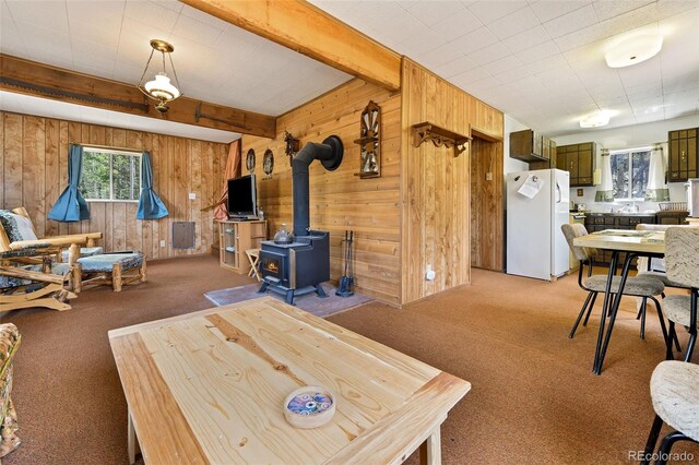 454 Eagle Rock Rd, Florissant, CO 80816 - photo 3