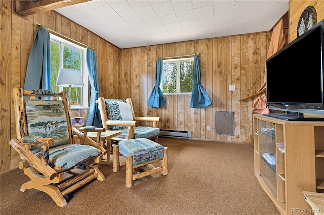 454 Eagle Rock Rd, Florissant, CO 80816 - photo 4