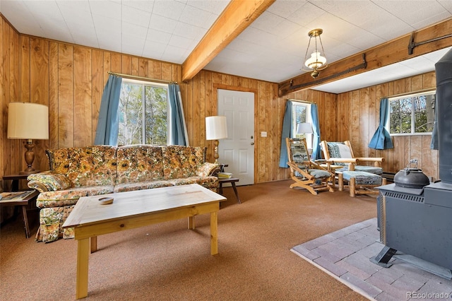 454 Eagle Rock Rd, Florissant, CO 80816 - photo 5