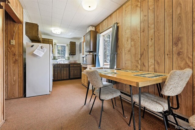 454 Eagle Rock Rd, Florissant, CO 80816 - photo 6
