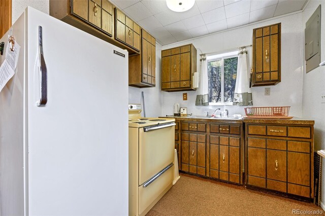 454 Eagle Rock Rd, Florissant, CO 80816 - photo 7