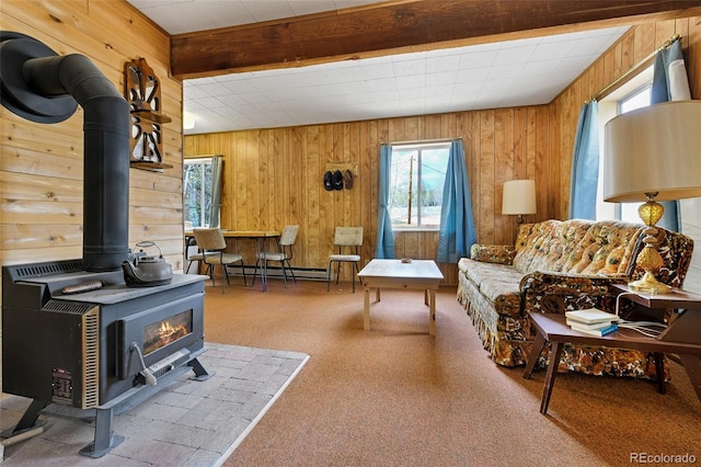 454 Eagle Rock Rd, Florissant, CO 80816 - photo 9