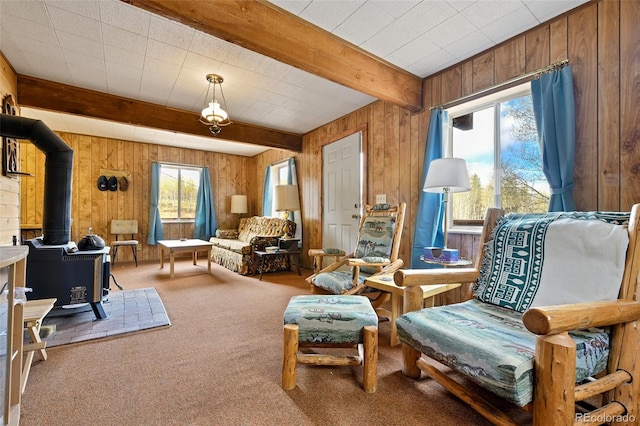 454 Eagle Rock Rd, Florissant, CO 80816 - photo 10