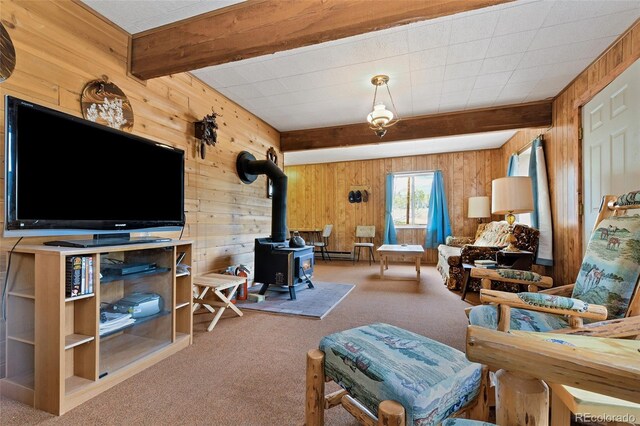 454 Eagle Rock Rd, Florissant, CO 80816 - photo 11