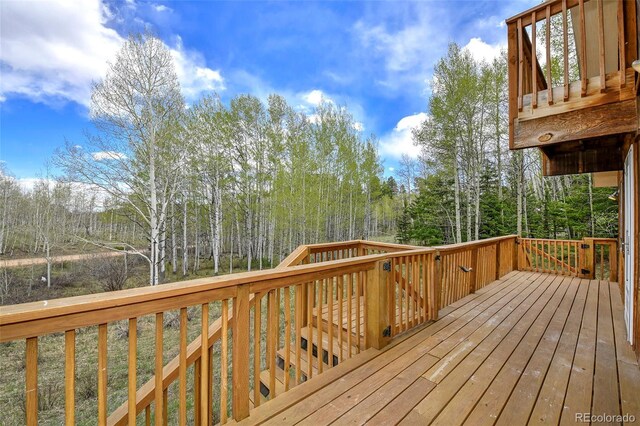 454 Eagle Rock Rd, Florissant, CO 80816 - photo 16