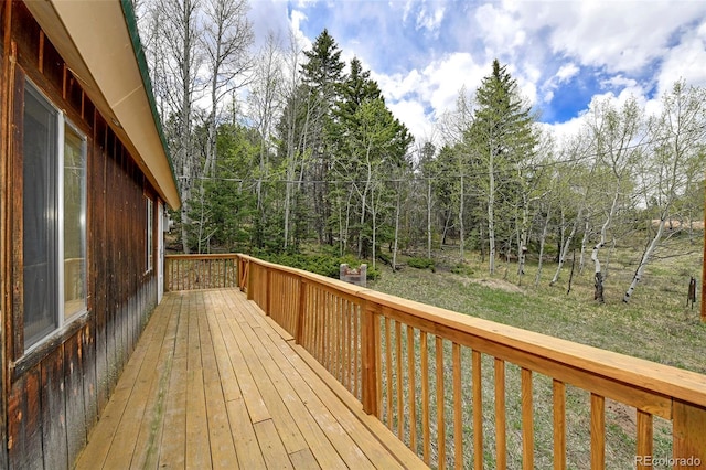 454 Eagle Rock Rd, Florissant, CO 80816 - photo 17