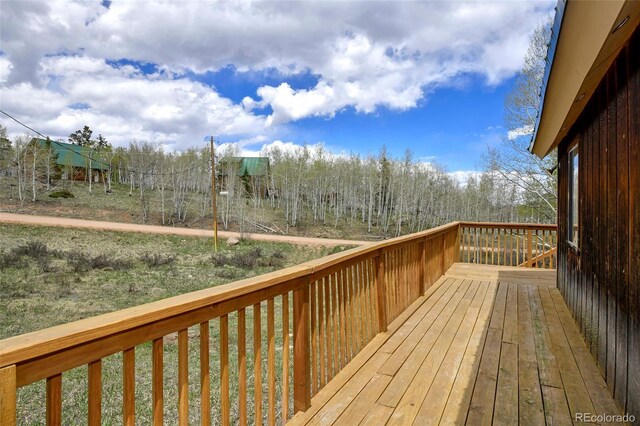 454 Eagle Rock Rd, Florissant, CO 80816 - photo 18