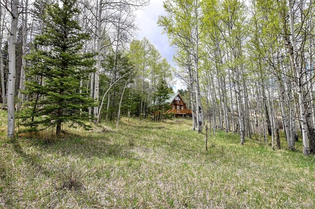 454 Eagle Rock Rd, Florissant, CO 80816 - photo 23