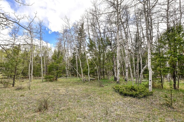 454 Eagle Rock Rd, Florissant, CO 80816 - photo 25