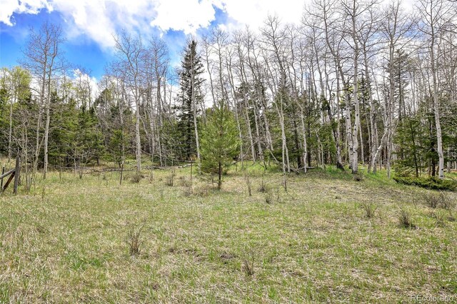 454 Eagle Rock Rd, Florissant, CO 80816 - photo 26