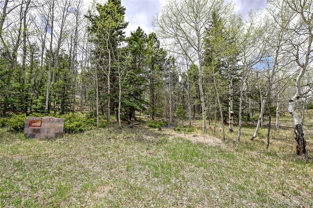 454 Eagle Rock Rd, Florissant, CO 80816 - photo 28