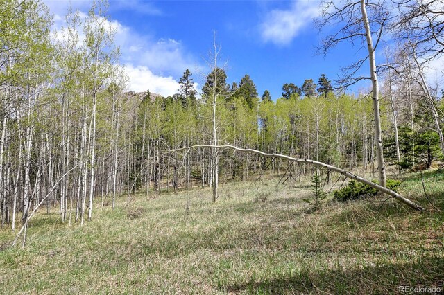 454 Eagle Rock Rd, Florissant, CO 80816 - photo 29