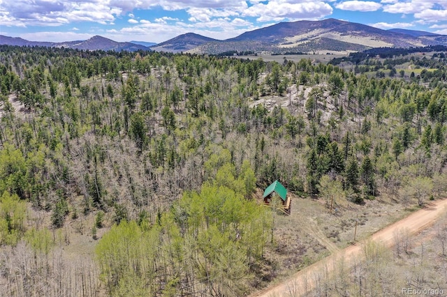 454 Eagle Rock Rd, Florissant, CO 80816 - photo 33