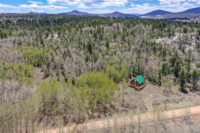 454 Eagle Rock Rd, Florissant, CO 80816 - photo 34