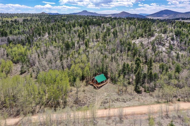454 Eagle Rock Rd, Florissant, CO 80816 - photo 35