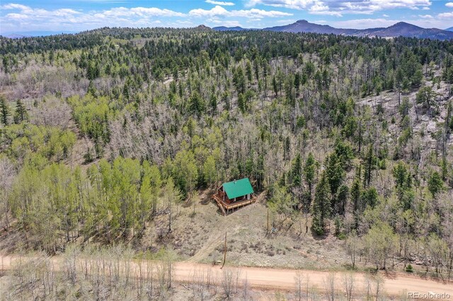 454 Eagle Rock Rd, Florissant, CO 80816 - photo 36
