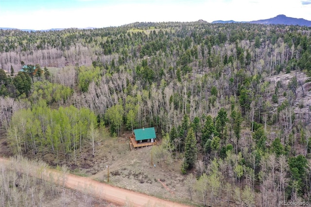 454 Eagle Rock Rd, Florissant, CO 80816 - photo 37