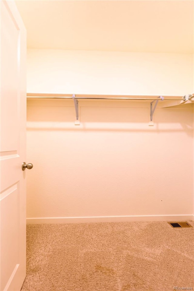 236 Racer St, Bennett, CO 80102 - spacious closet with visible vents and carpet flooring