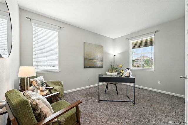 12554 Hudson Ct, Thornton, CO 80241 - office space with carpet flooring