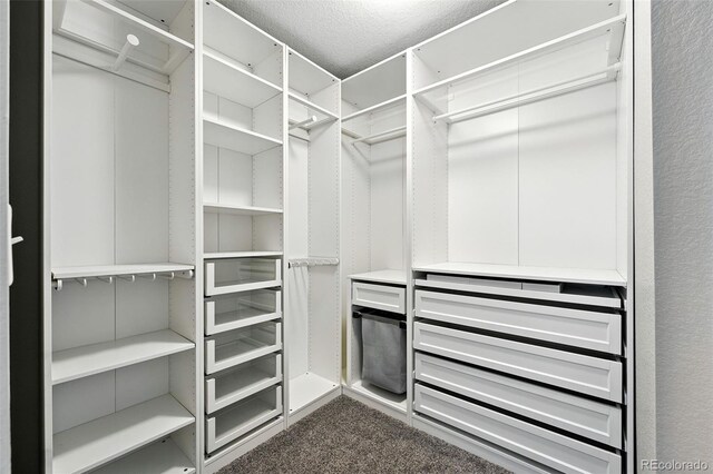 12554 Hudson Ct, Thornton, CO 80241 - spacious closet featuring dark colored carpet