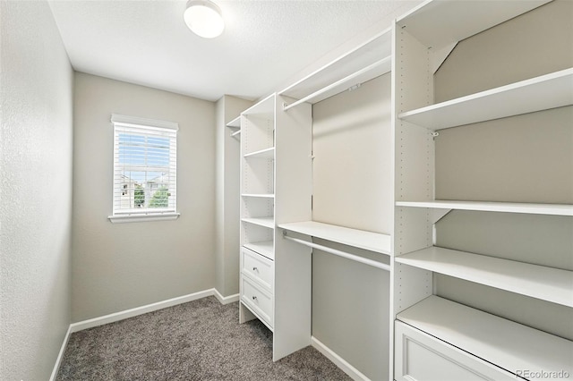 12554 Hudson Ct, Thornton, CO 80241 - spacious closet with carpet flooring