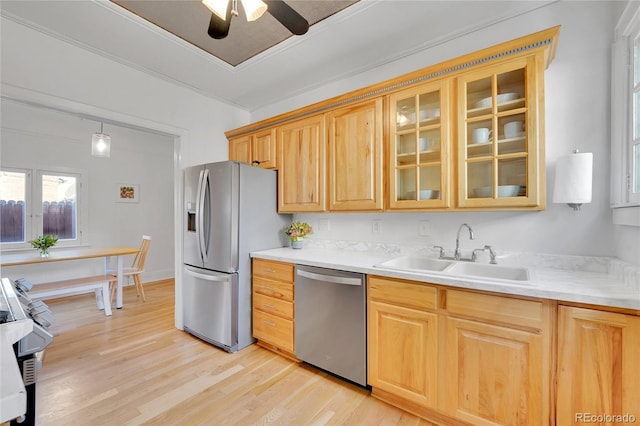 kitchen with a ceiling fan, glass insert cabinets, a sink, light wood finished floors, and stainless steel appliances