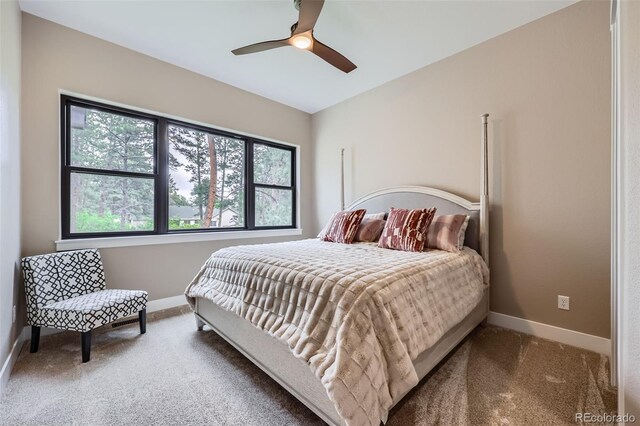 8280 Bannock Dr, Larkspur, CO 80118 - photo 24