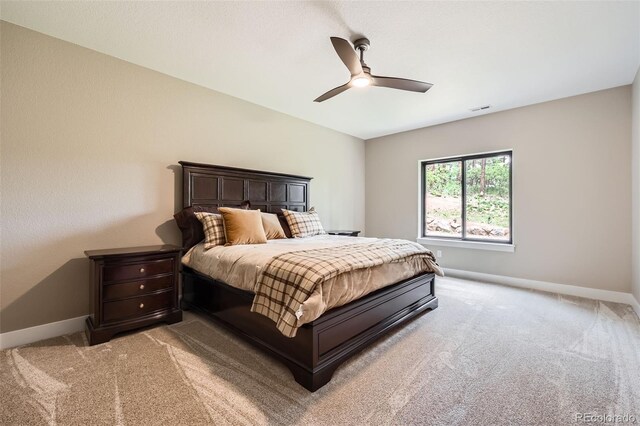 8280 Bannock Dr, Larkspur, CO 80118 - photo 31