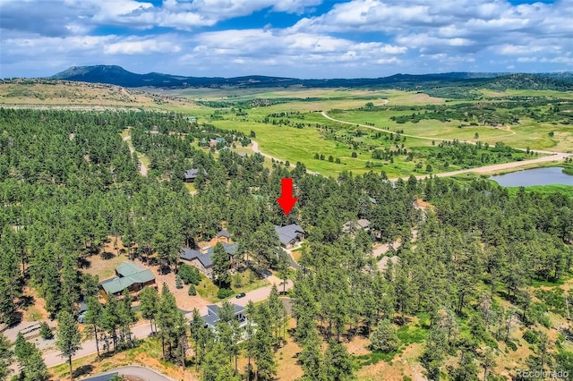 8280 Bannock Dr, Larkspur, CO 80118 - photo 37