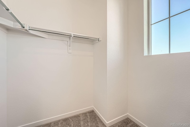 722 N Bently St, Watkins, CO 80137 - photo 9