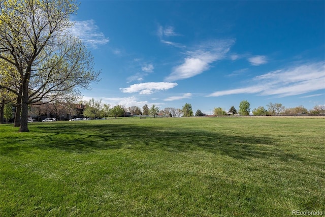 view of local wilderness featuring rural landscape