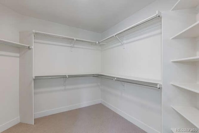 9561 Silver Hill Cir, Lone Tree, CO 80124 - walk in closet featuring carpet flooring