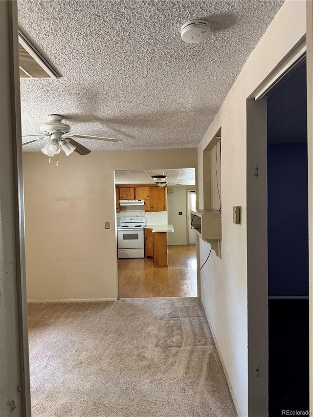 901 W 1st St, Florence, CO 81226 - photo 19