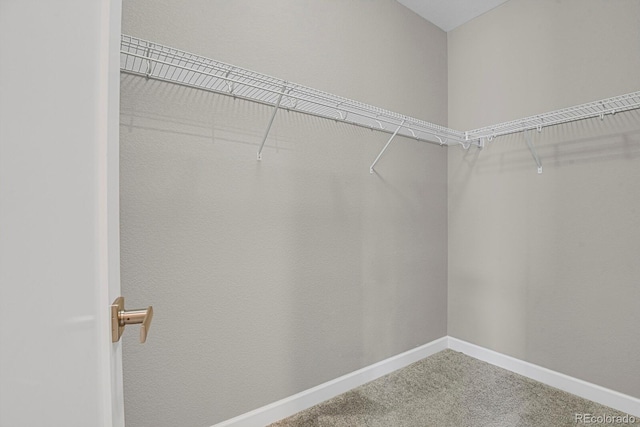23615 E 5th Pl, Aurora, CO 80018 - walk in closet featuring carpet flooring