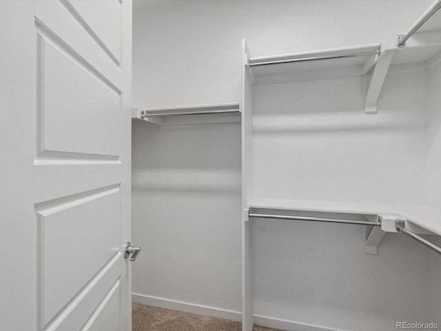 11719 W 45th Pl, Wheat Ridge, CO 80033 - spacious closet with carpet floors