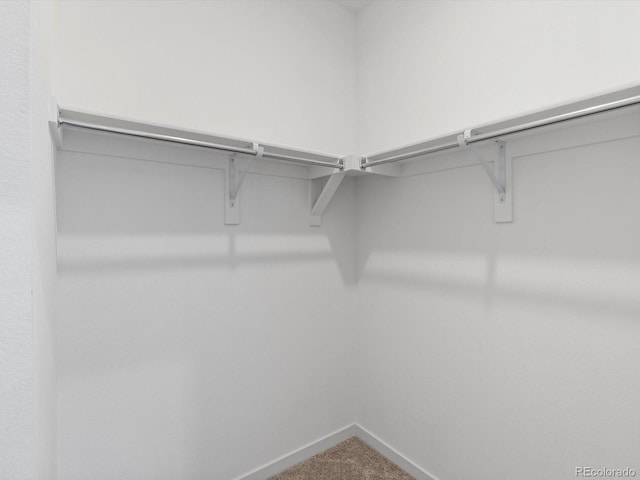 11719 W 45th Pl, Wheat Ridge, CO 80033 - spacious closet with carpet flooring