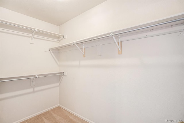 walk in closet featuring light colored carpet