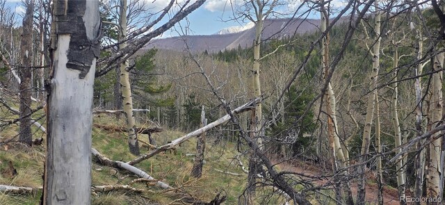 LOT2732 Grojean Dr, Fort Garland, CO 81133 - photo 3