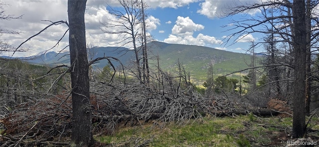LOT2732 Grojean Dr, Fort Garland, CO 81133 - photo 5