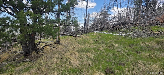 LOT2732 Grojean Dr, Fort Garland, CO 81133 - photo 6
