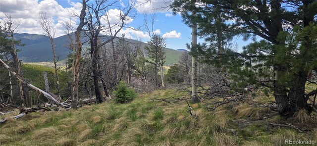 LOT2732 Grojean Dr, Fort Garland, CO 81133 - photo 7