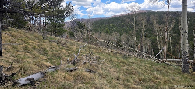 LOT2732 Grojean Dr, Fort Garland, CO 81133 - photo 8